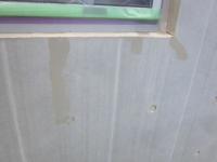 IMG_7435-1.JPG
